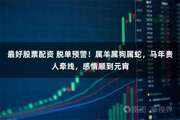 最好股票配资 脱单预警！属羊属狗属蛇，马年贵人牵线，感情顺到元宵