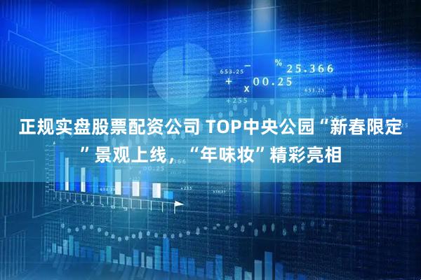正规实盘股票配资公司 TOP中央公园“新春限定”景观上线,“年味妆”精彩亮相
